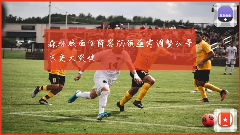 森林狼面临阵容瓶颈亟需调整以寻求更大突破