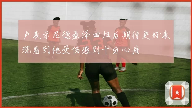 卢表示尼德豪泽回归后期待更好表现看到他受伤感到十分心痛